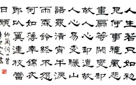 木兰词·拟古决绝词柬友 纳兰性德